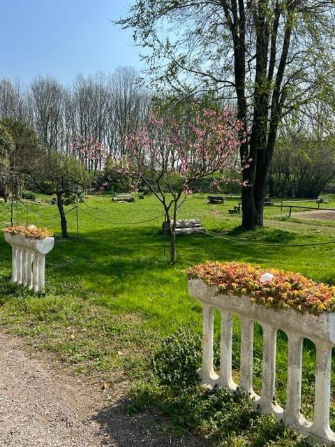 casa indipendente in vendita a Suzzara