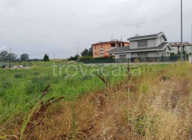 terreno agricolo in vendita a Suzzara