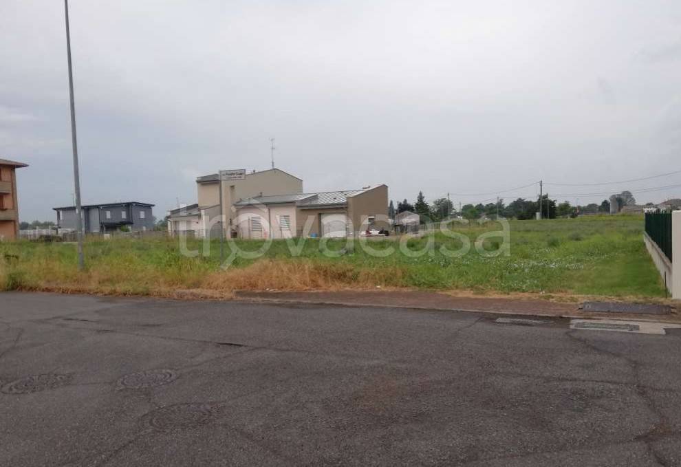 terreno agricolo in vendita a Suzzara