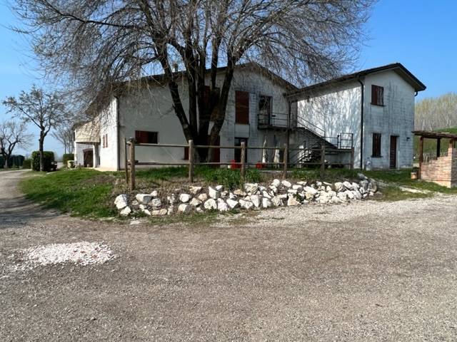 negozio in vendita a Suzzara