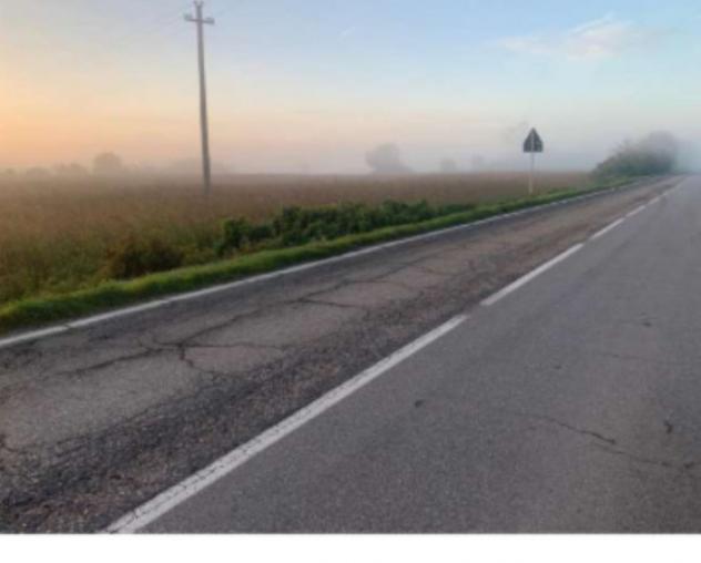 terreno agricolo in vendita a Suzzara in zona Sailetto