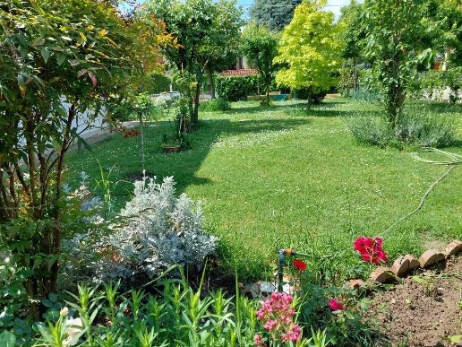 casa indipendente in vendita a Suzzara