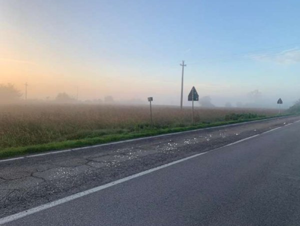 terreno edificabile in vendita a Suzzara