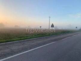 ufficio in vendita a Suzzara