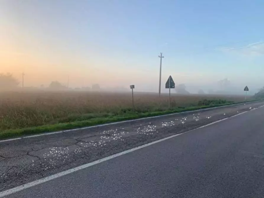 terreno edificabile in vendita a Suzzara