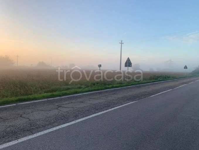 appartamento in vendita a Suzzara