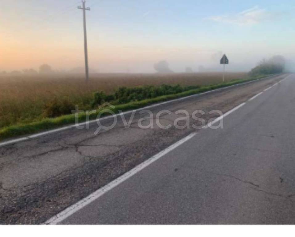 terreno agricolo in vendita a Suzzara in zona Sailetto