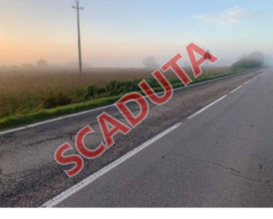 terreno agricolo in vendita a Suzzara in zona Sailetto