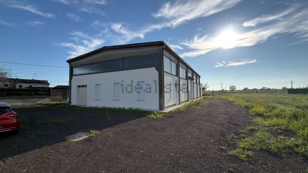 capannone in vendita a Suzzara