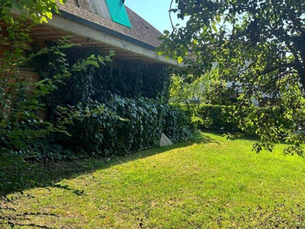 casa indipendente in vendita a Suzzara