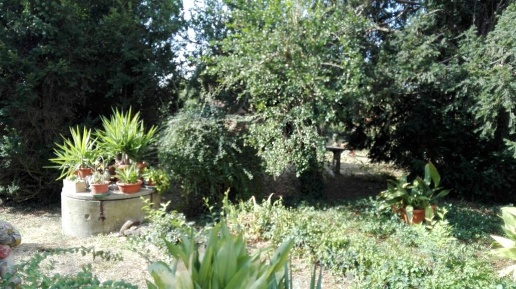 casa indipendente in vendita a Suzzara