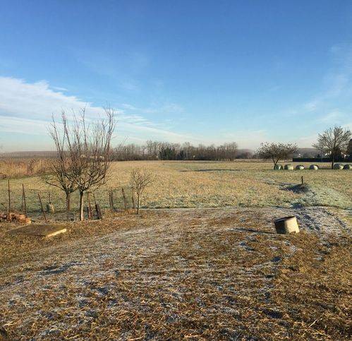 terreno agricolo in vendita a Suzzara