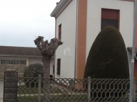 casa indipendente in vendita a Suzzara