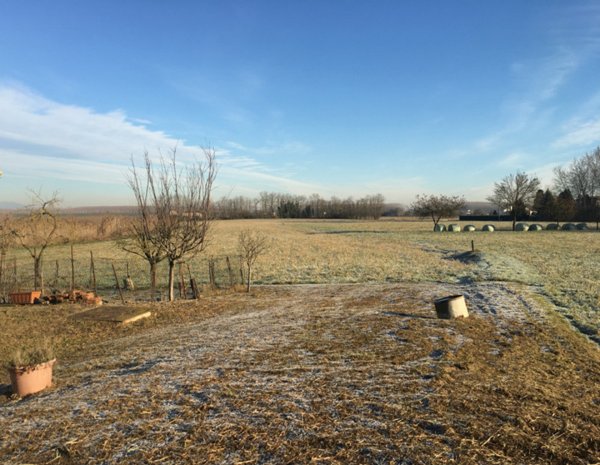 terreno edificabile in vendita a Suzzara