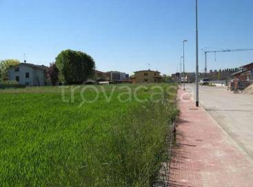 terreno agricolo in vendita a Suzzara