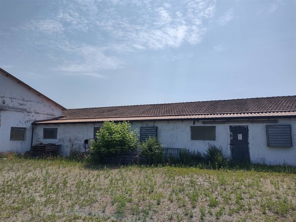 azienda agricola in vendita a Suzzara in zona Brusatasso