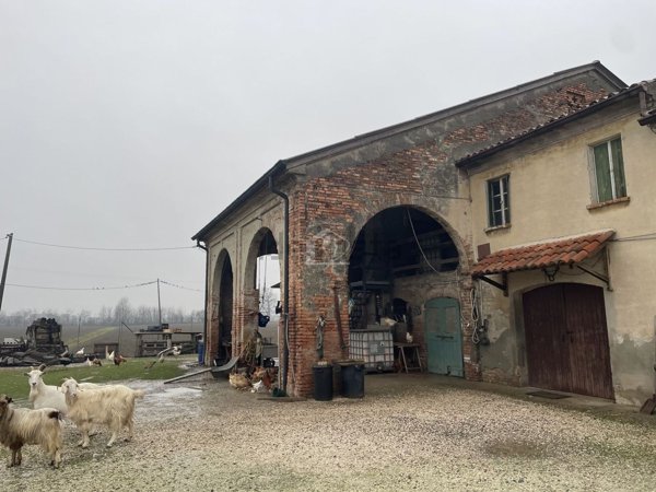 casa indipendente in vendita a Suzzara