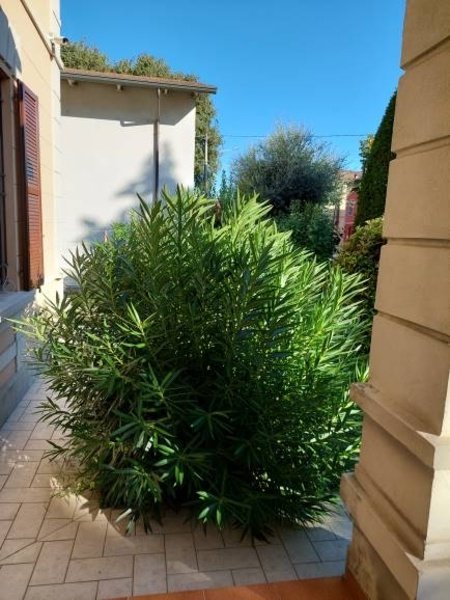 casa indipendente in vendita a Suzzara in zona Brusatasso