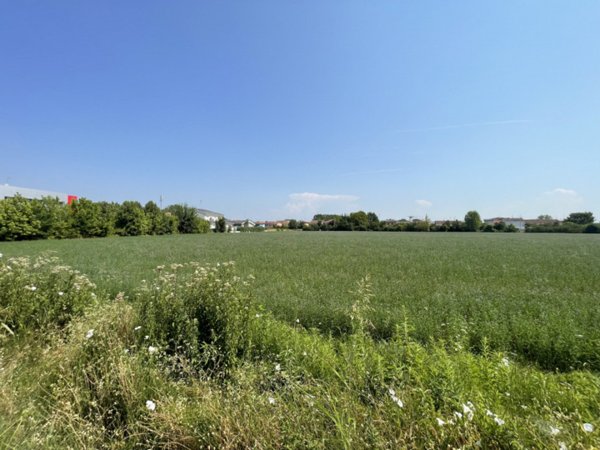terreno agricolo in vendita a Suzzara