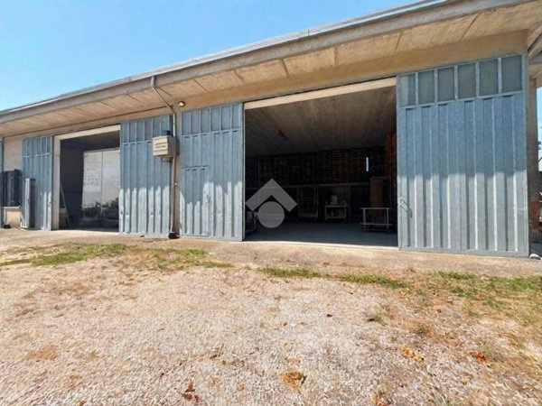 casa indipendente in vendita a Suzzara