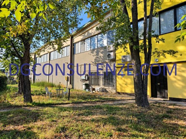 locale commerciale in vendita a Suzzara