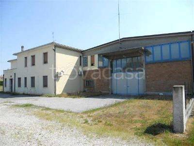 negozio in vendita a Viadana