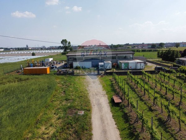 capannone in vendita a Viadana in zona Cogozzo