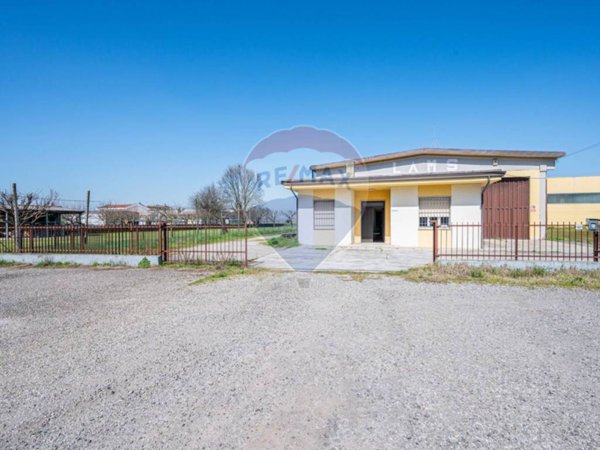 ufficio in vendita a Viadana in zona Cicognara