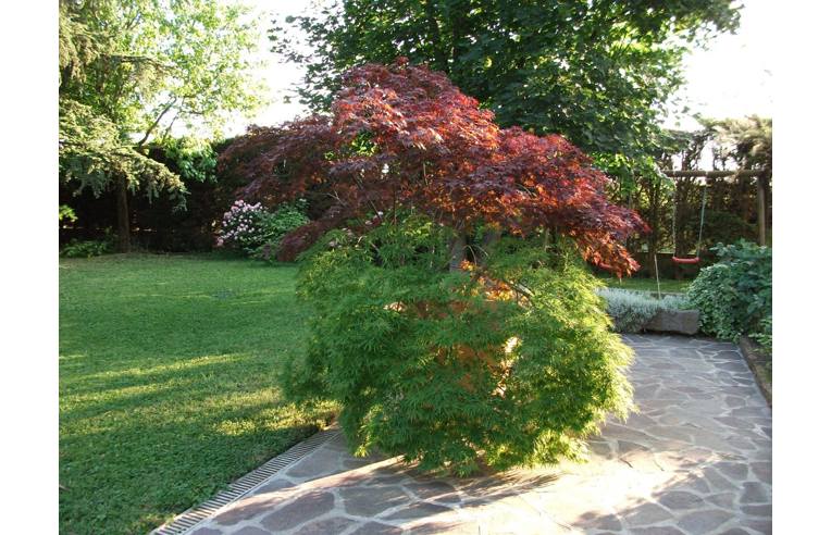 casa indipendente in vendita a Viadana in zona Salina