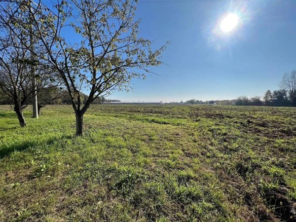 terreno agricolo in vendita a Villimpenta