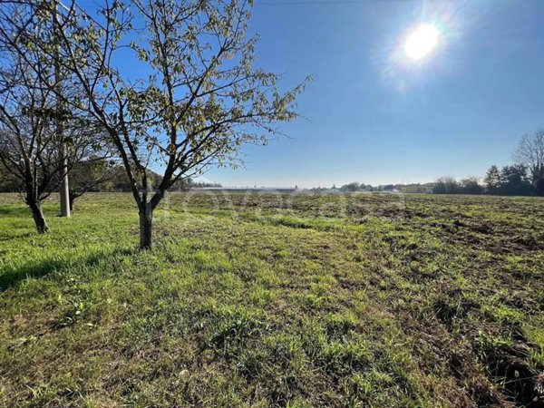 terreno agricolo in vendita a Villimpenta