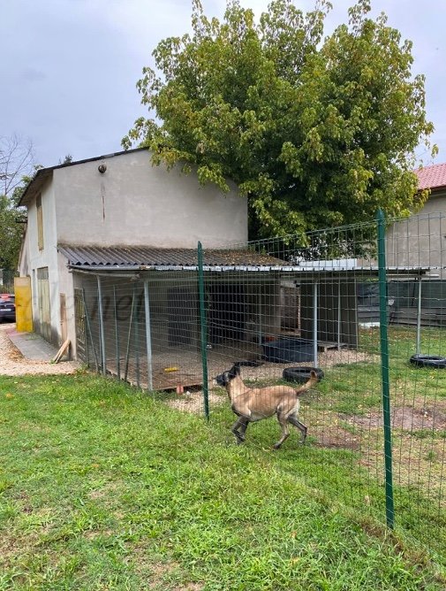 casa indipendente in vendita a Villimpenta
