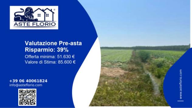 terreno agricolo in vendita a Villimpenta
