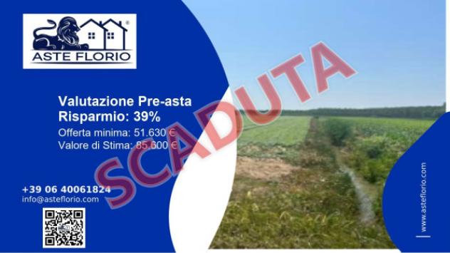 terreno agricolo in vendita a Villimpenta