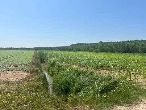 ufficio in vendita a Villimpenta