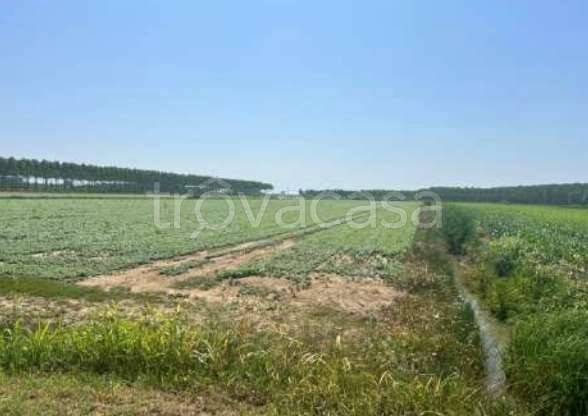 monolocale in vendita a Villimpenta