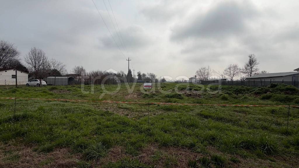 terreno agricolo in vendita a Villimpenta