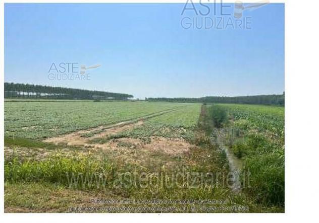 terreno edificabile in vendita a Villimpenta