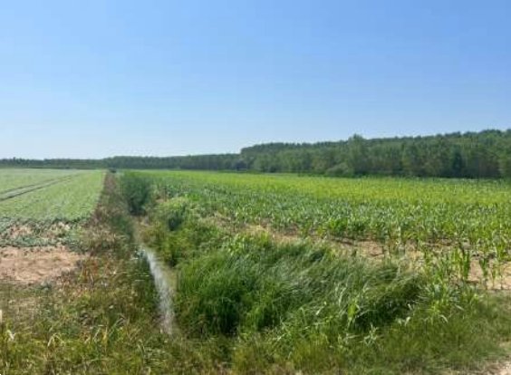 terreno agricolo in vendita a Villimpenta