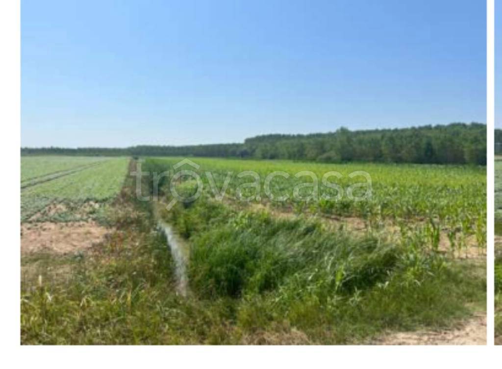 terreno agricolo in vendita a Villimpenta