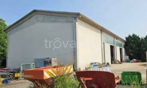 casa indipendente in vendita a Villimpenta