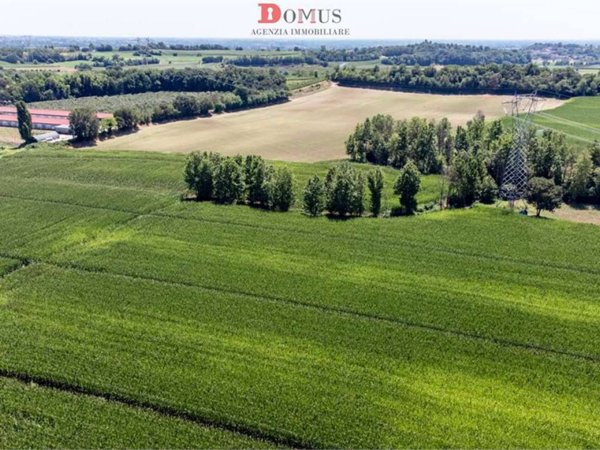 terreno agricolo in vendita a Volta Mantovana