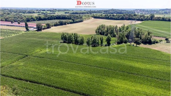 terreno agricolo in vendita a Volta Mantovana