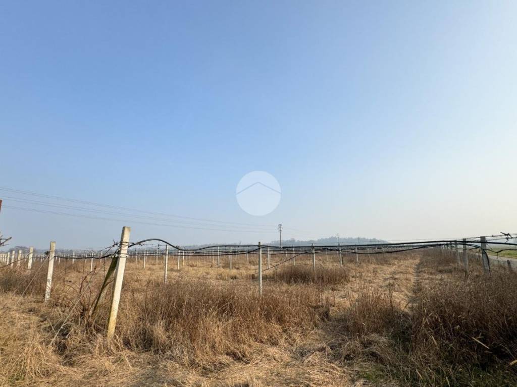 terreno agricolo in vendita a Volta Mantovana