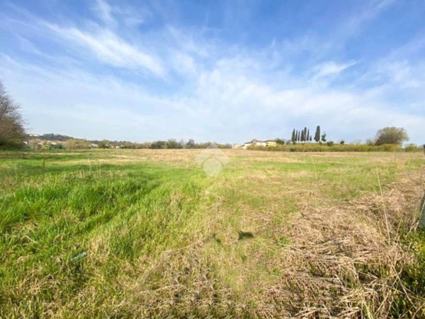 terreno agricolo in vendita a Volta Mantovana