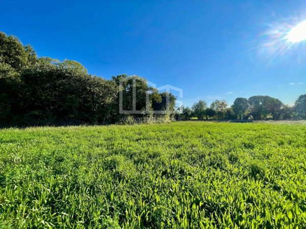 terreno agricolo in vendita a Volta Mantovana