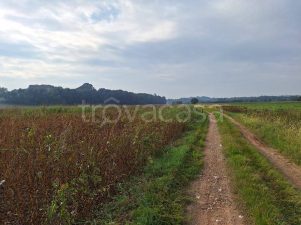 terreno agricolo in vendita a Volta Mantovana