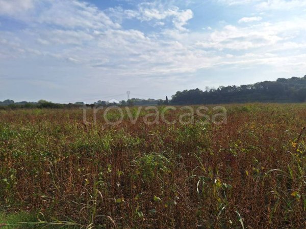 terreno agricolo in vendita a Volta Mantovana
