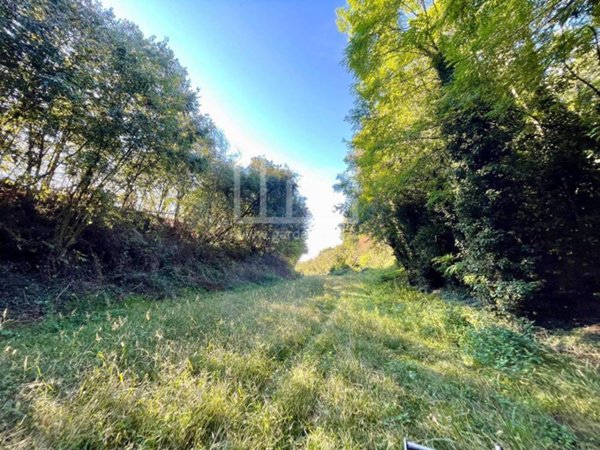 terreno agricolo in vendita a Volta Mantovana