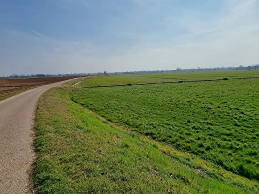 terreno agricolo in vendita a Volta Mantovana